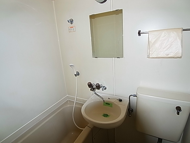 ゼフィランサス五香 その他2