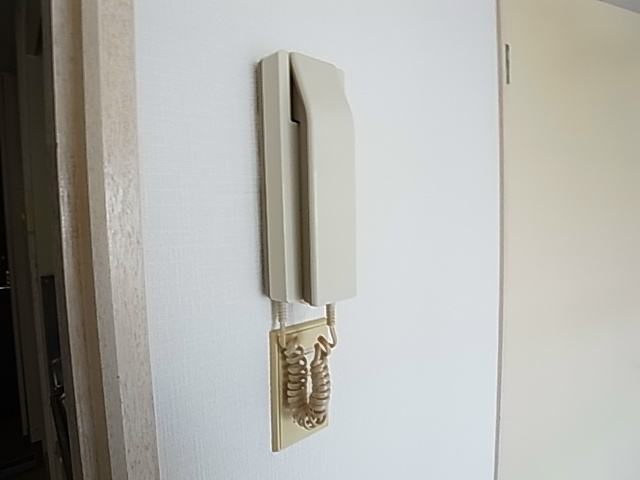 ゼフィランサス五香 その他4