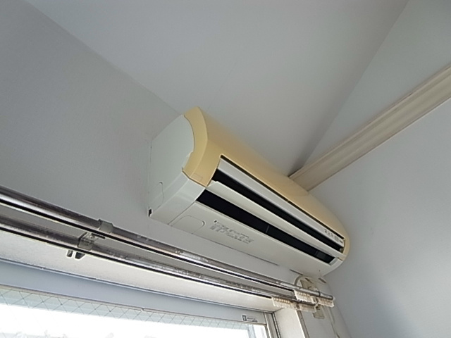 ゼフィランサス五香 その他5