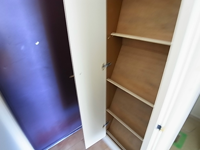 ゼフィランサス五香 その他10