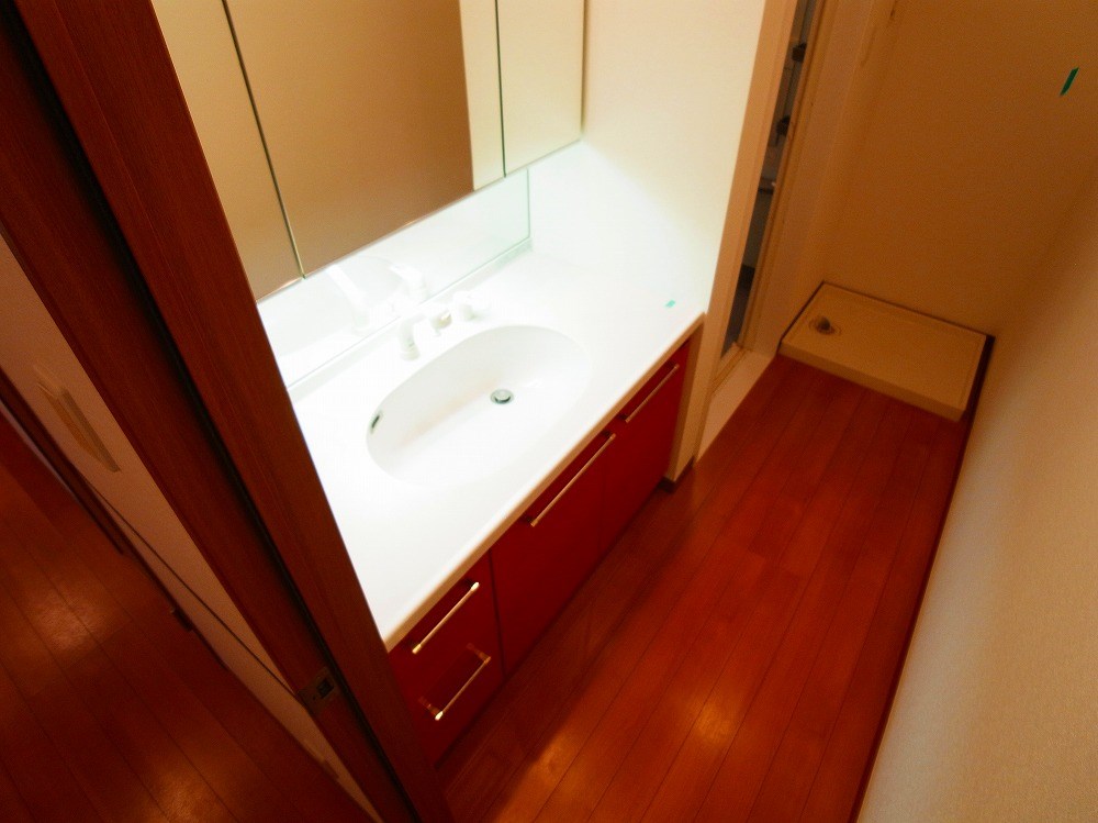 ロイヤルパークス新田 その他2