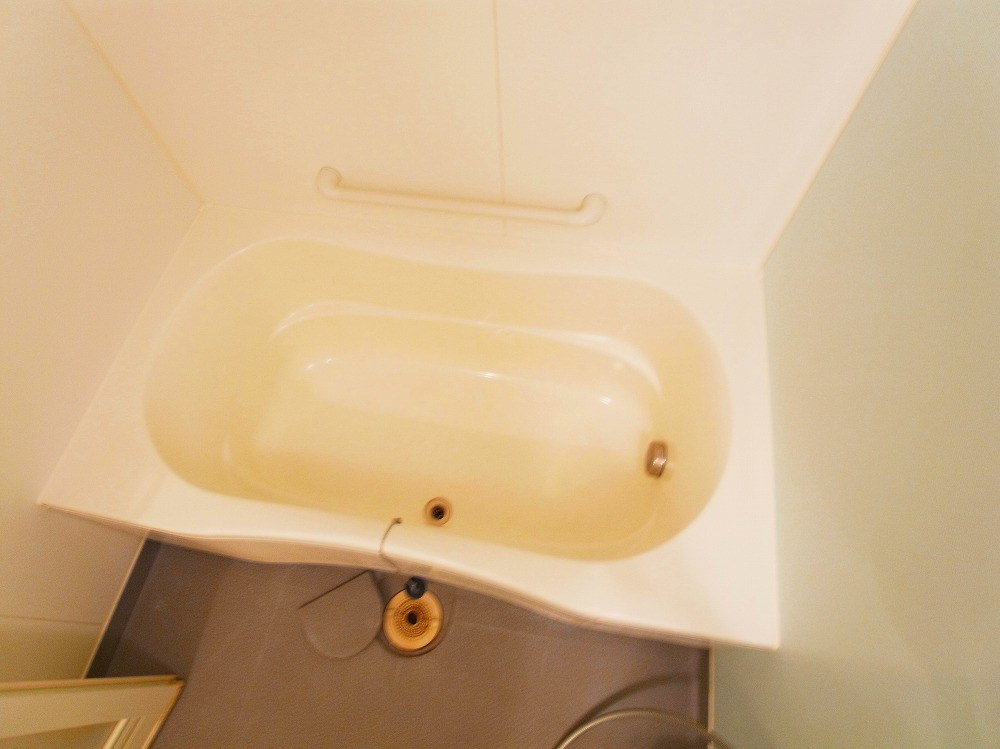 ロイヤルパークス新田 その他12