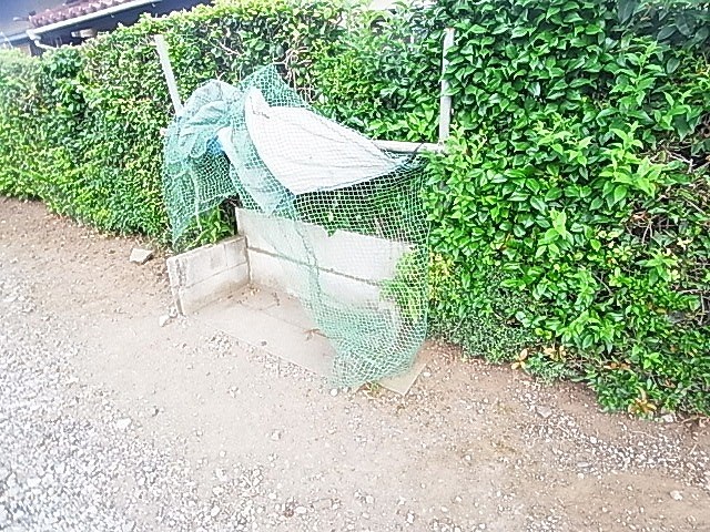 酒井根ガーデンハイツ  その他外観4