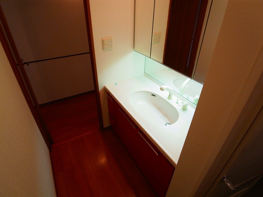 ロイヤルパークス新田 その他10