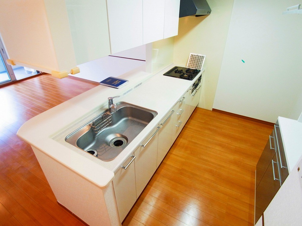 ロイヤルパークス新田 その他13