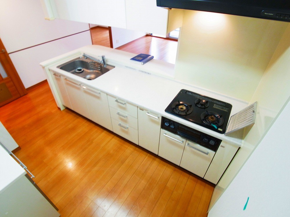 ロイヤルパークス新田 キッチン