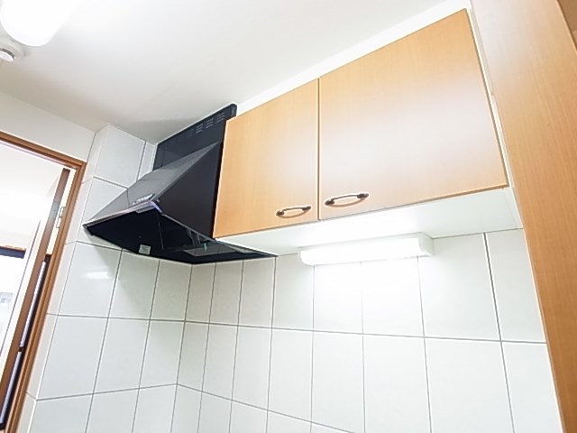 ミレーニア その他11