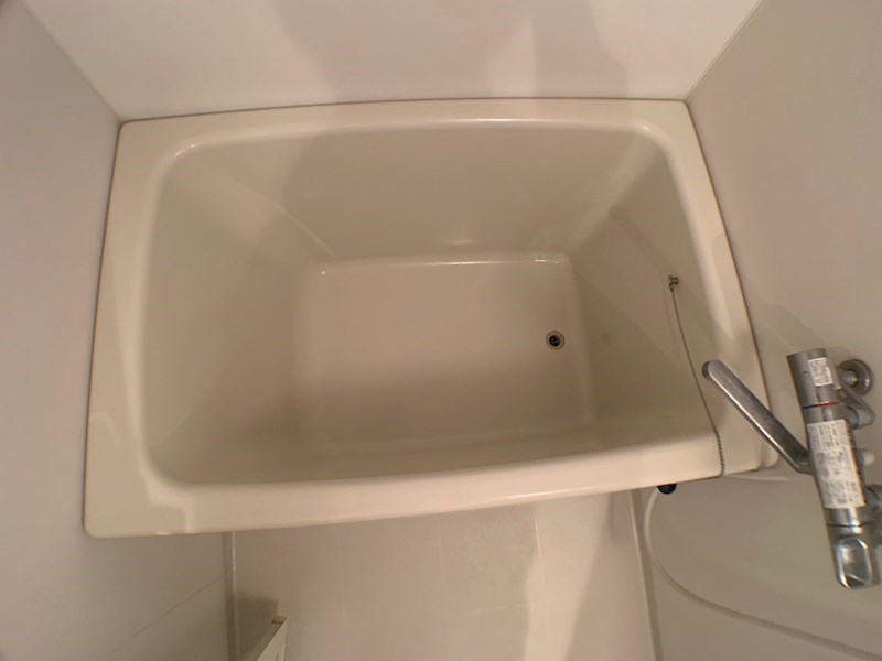 ミモザ その他10