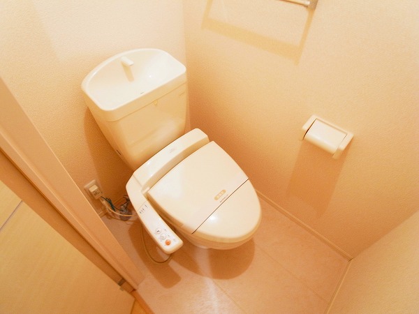 ベルウィルA その他1