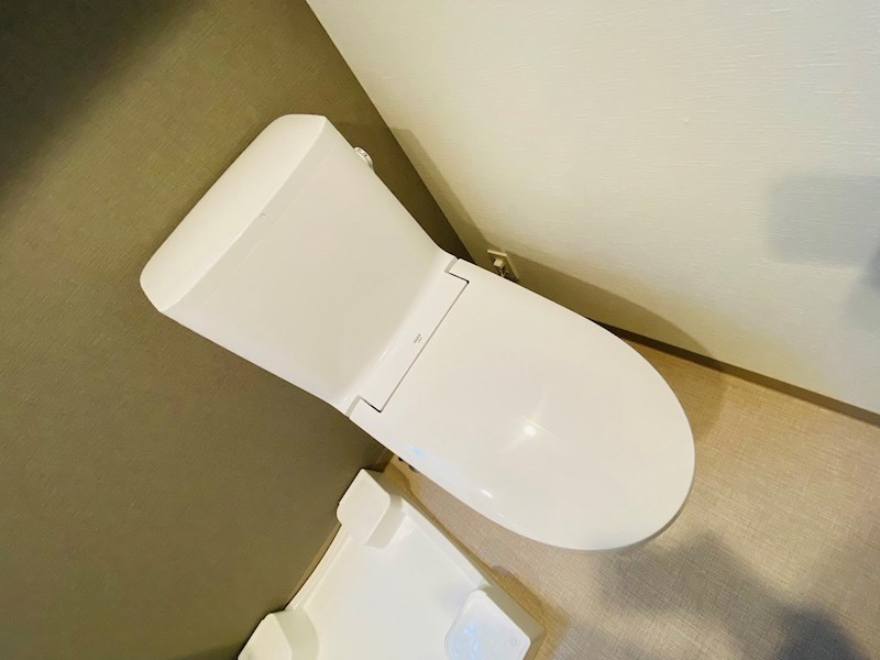 ラフィスタ金町 その他1