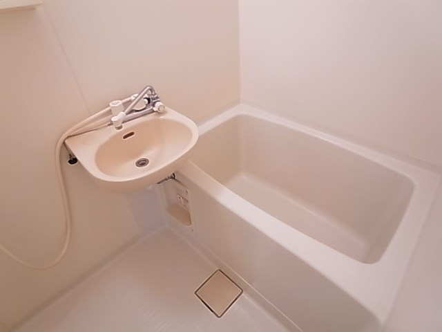 ＳＯＬＥＩＬ花畑 風呂画像