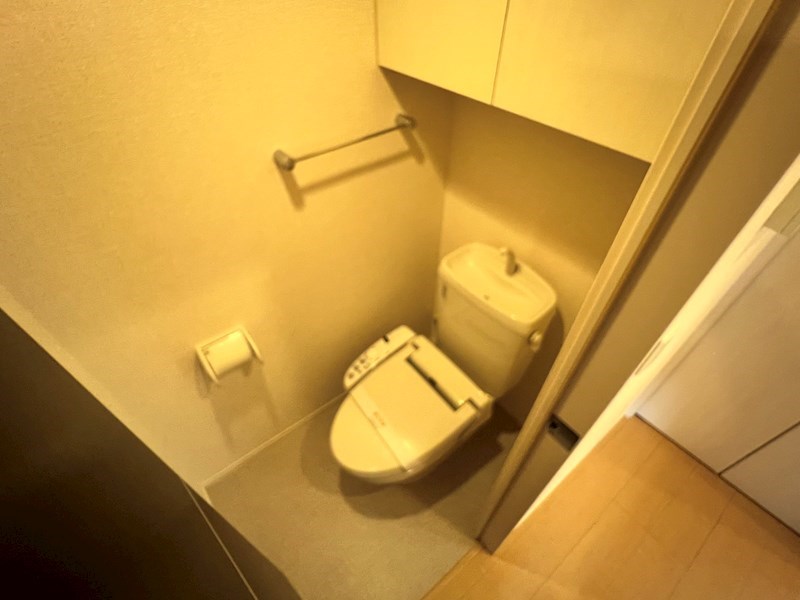 シトロン フレア その他1