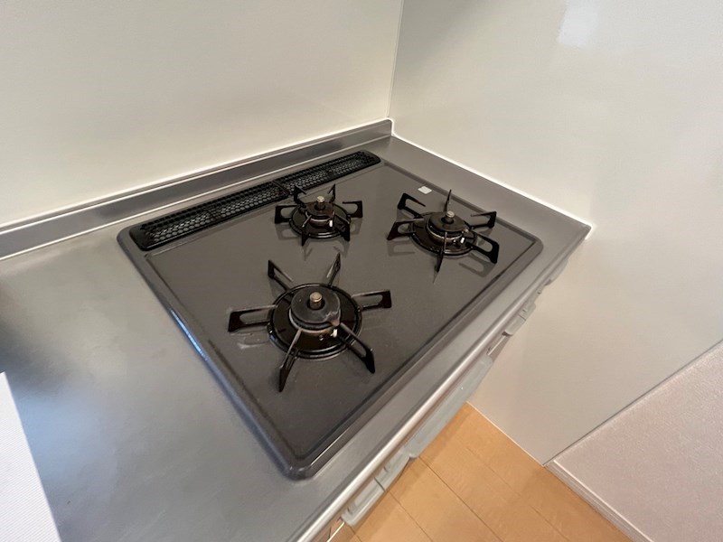 シトロン フレア その他13