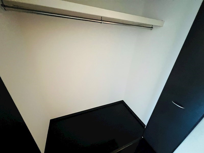 プリマカーサ その他13