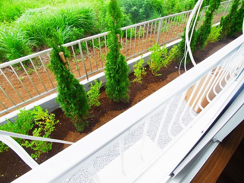 Life　Base　NODA　1st ベランダ