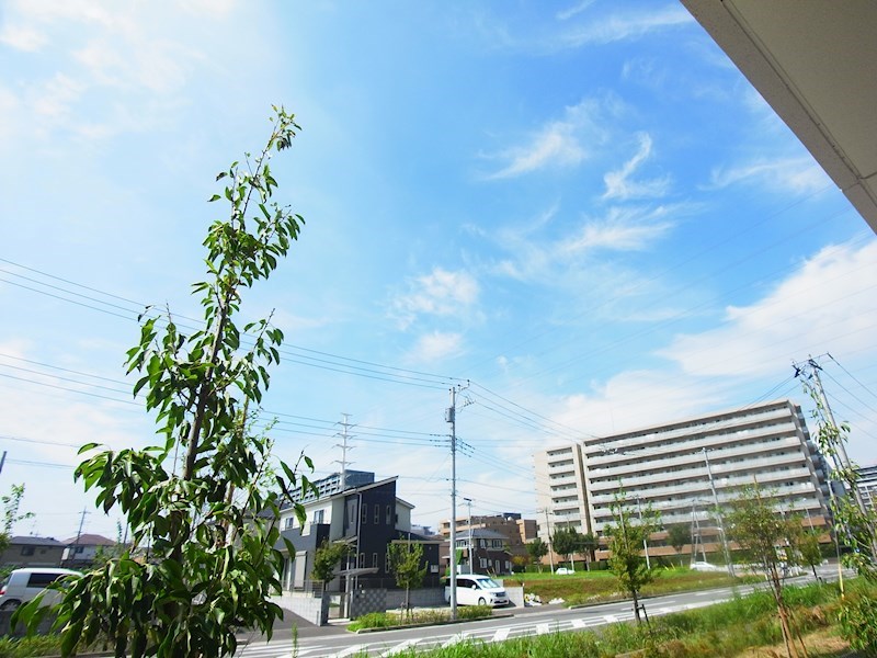 ベルフルール弐番館 その他5