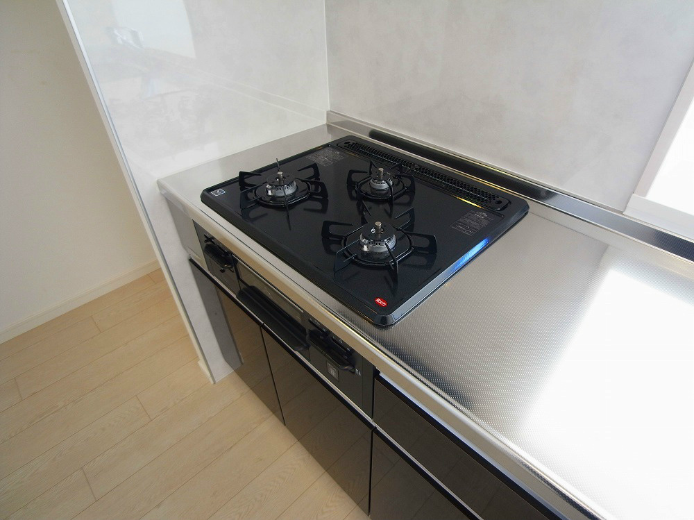 エルザ柏 その他11