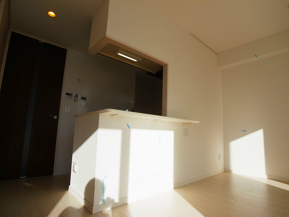 エルザ柏 その他13