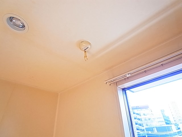 ボナール その他9