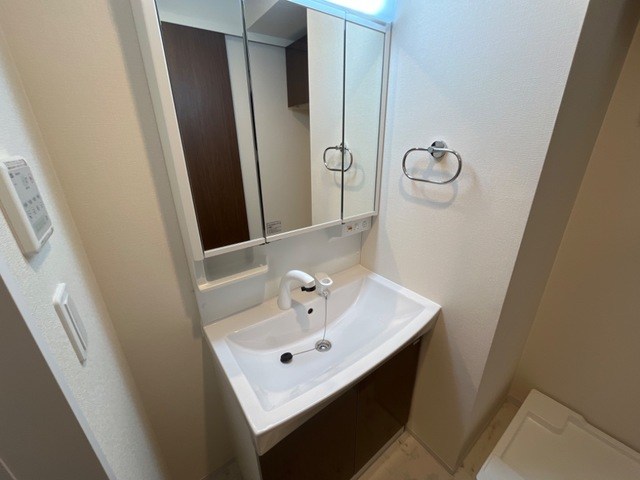 フリーダムファン その他2