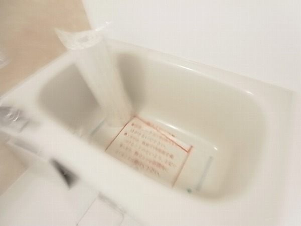 サンフローラ・エフⅡ その他11