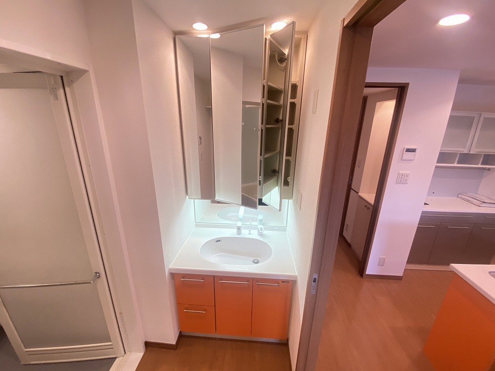 ロイヤルパークス新田 その他2