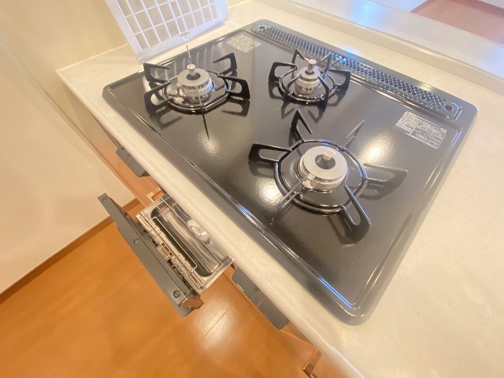 ロイヤルパークス新田 その他18