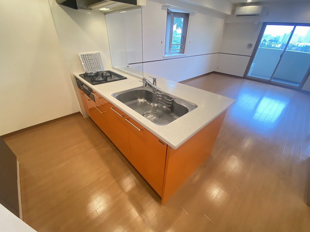 ロイヤルパークス新田 キッチン