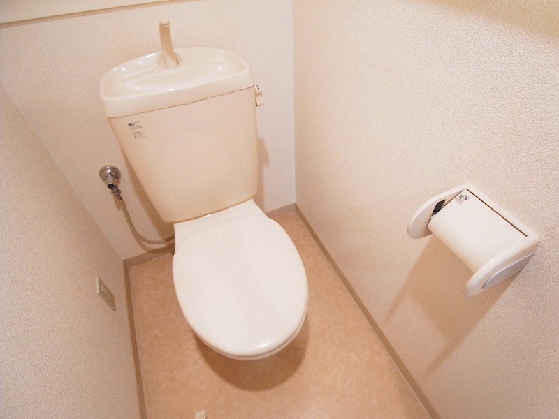 Virtud Orgullo～ヴィルトゥーオルグージョ～ その他1