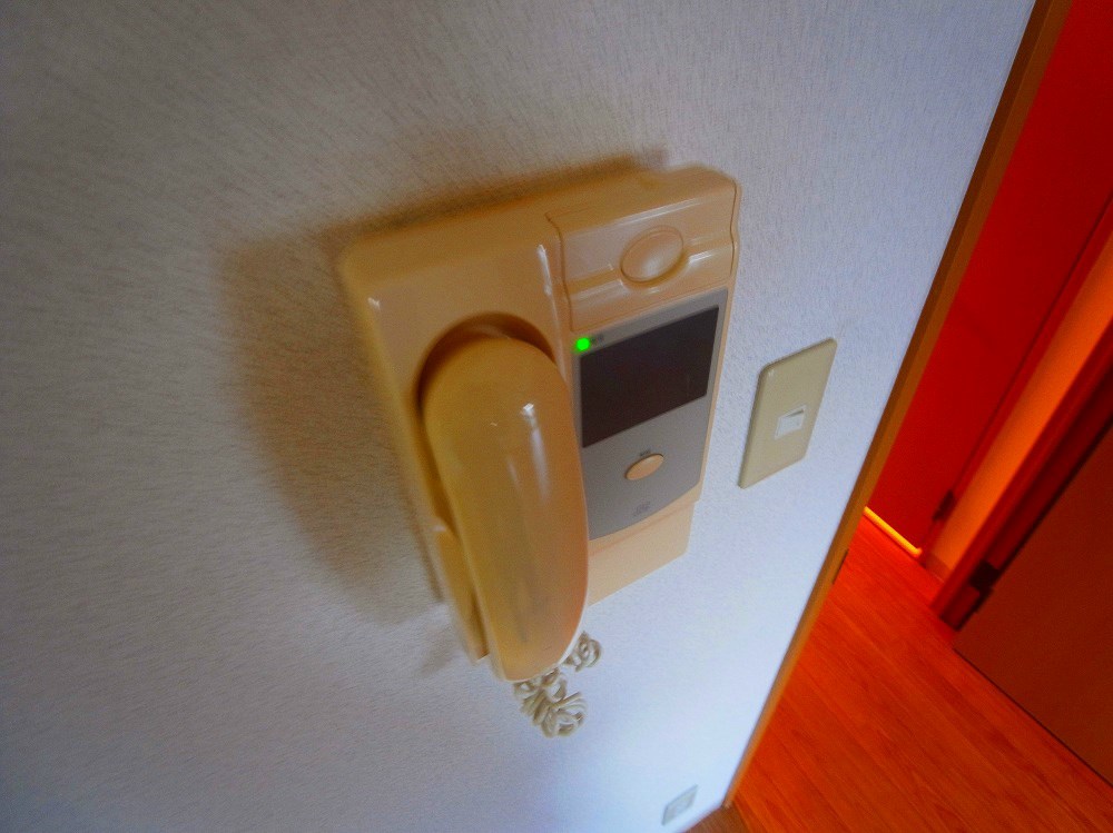 Virtud Orgullo～ヴィルトゥーオルグージョ～ その他4