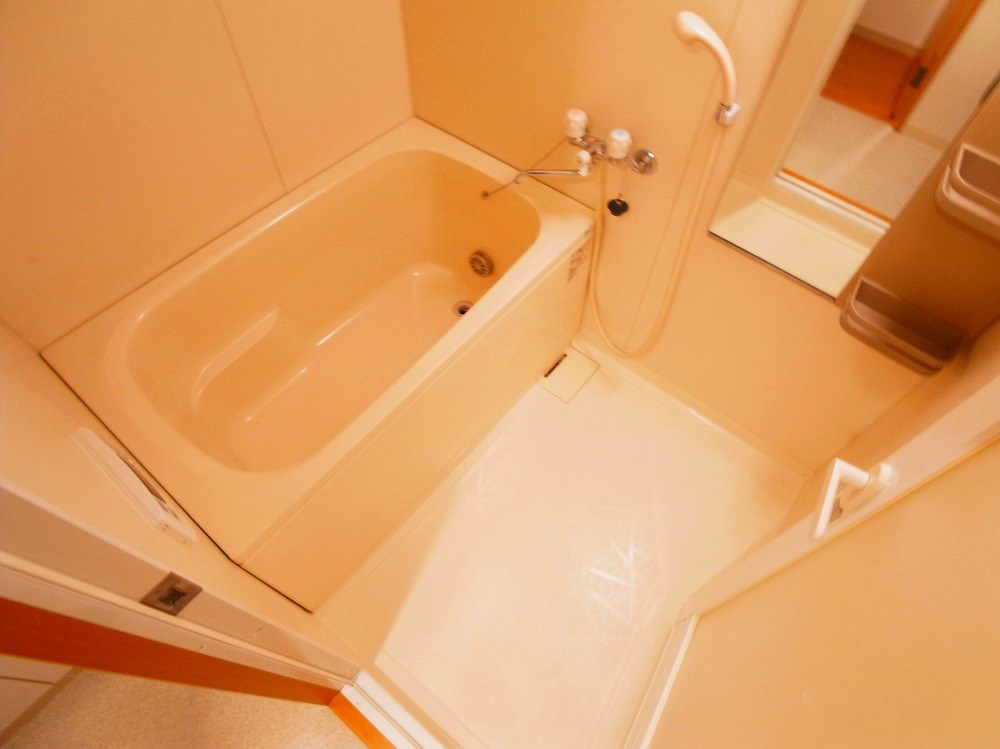 Virtud Orgullo～ヴィルトゥーオルグージョ～ その他9