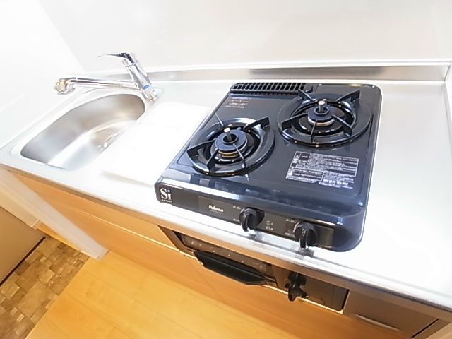 エルヴィータ その他7