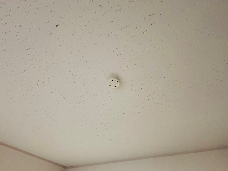 ブラウンハイツ その他19