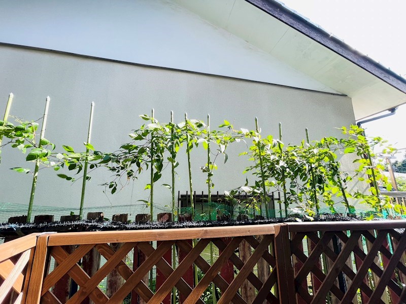 ヒルズ松戸 その他7