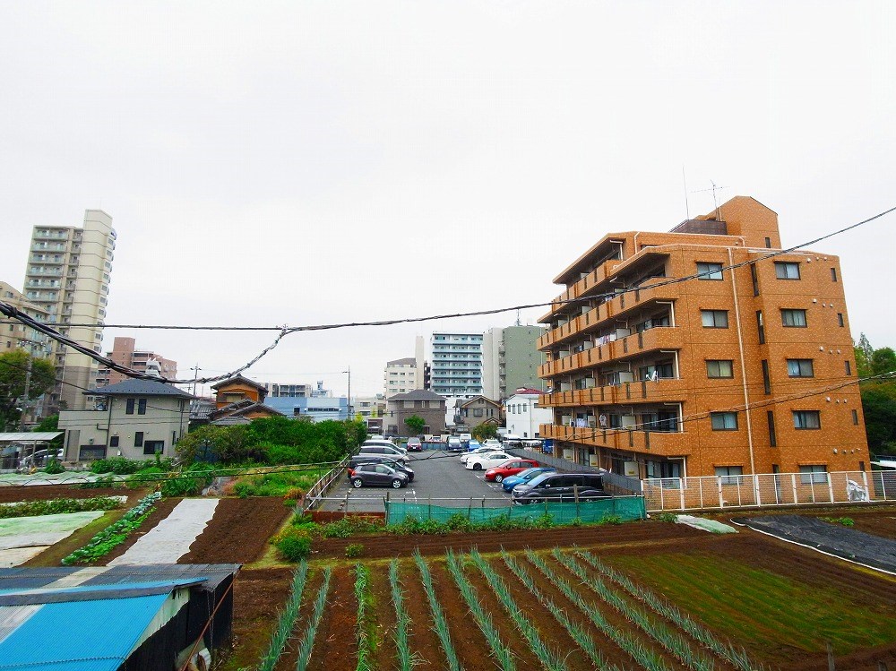 アイリス北綾瀬 その他17