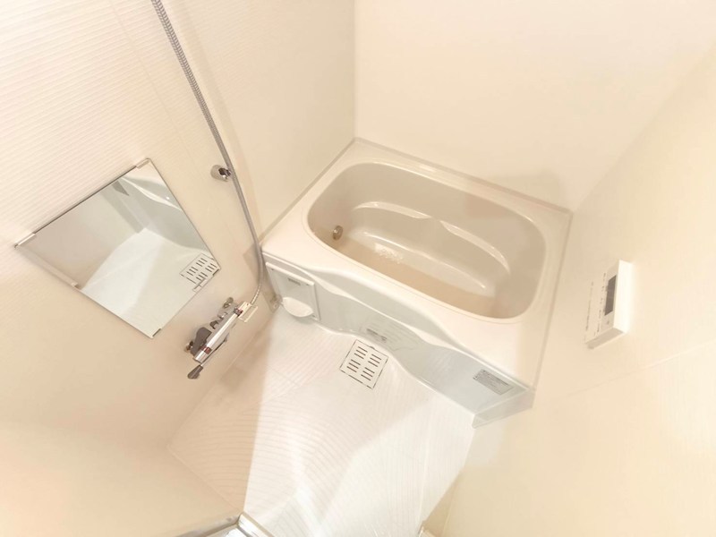 ARCOBALENO DAISHIMAE その他14