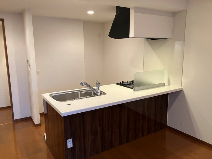 ロイヤルパークスリバーサイド  キッチン