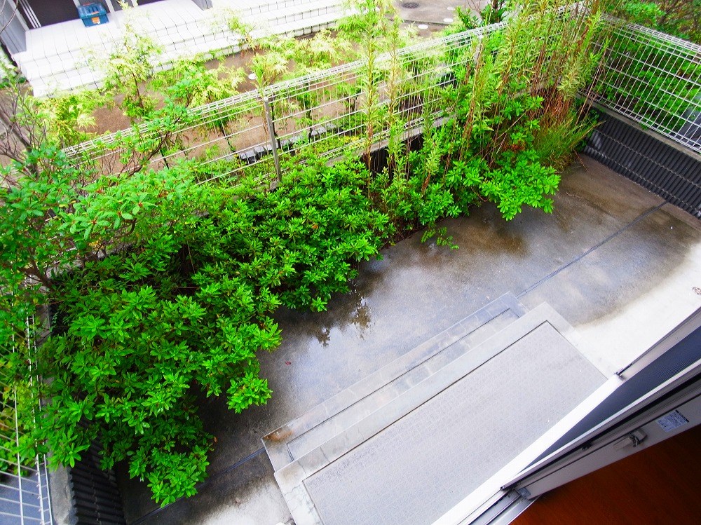 リバーサイド　ホシノ５  その他7