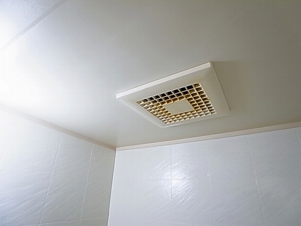 フォレスト その他21