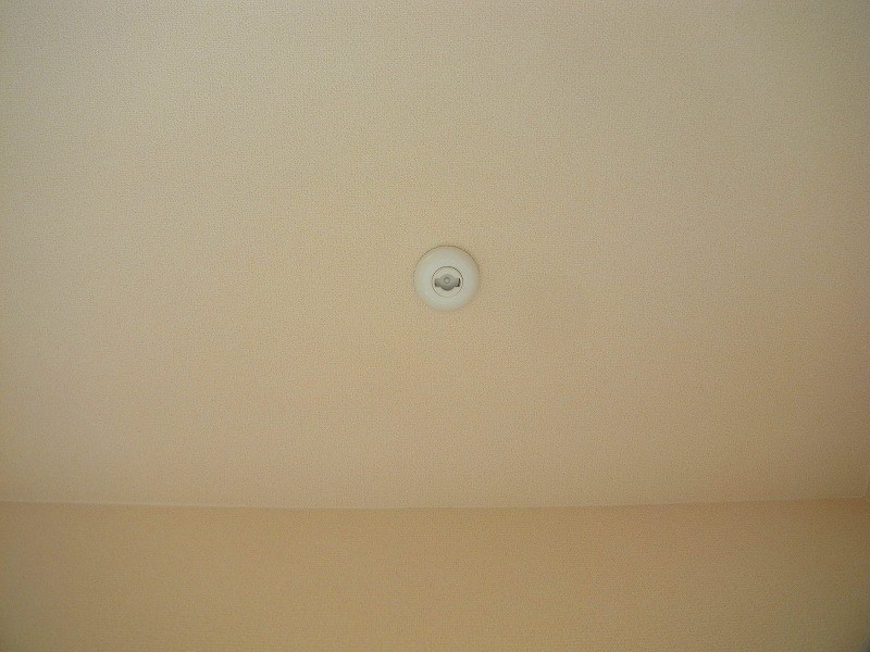 クレスト　タイガー その他6