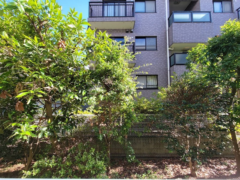 クレセントコート柏 その他5