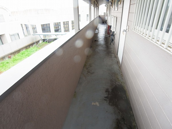 メゾン逆井1 その他外観4