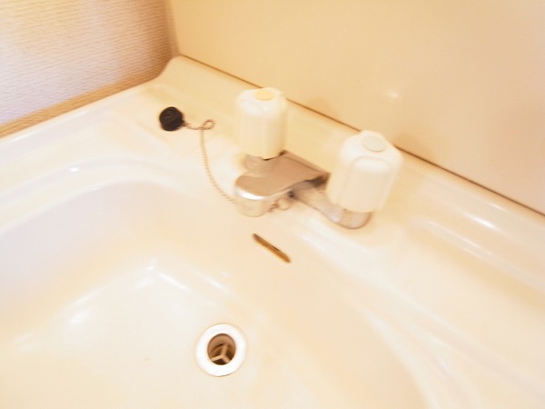 メゾン逆井1 その他7