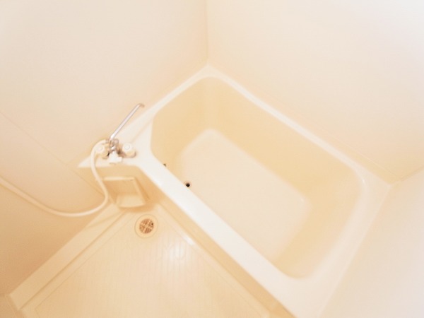 メゾン逆井1 その他15