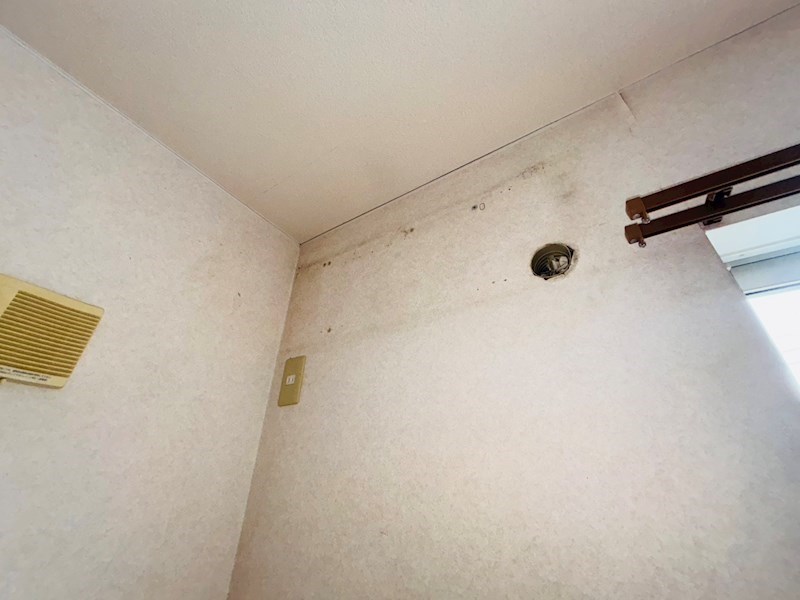 ラフィーヌ・小金原 その他12