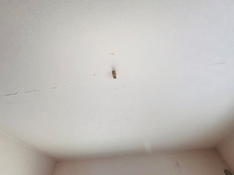 ラフィーヌ・小金原 その他17