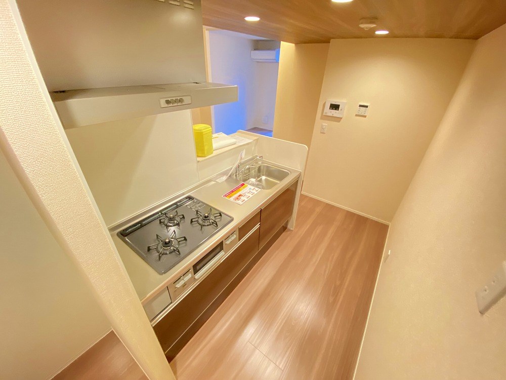 アンジュール新田 その他17