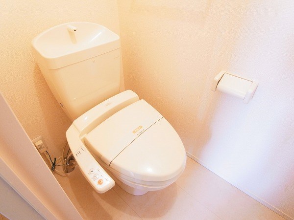 ベルウィルB その他1