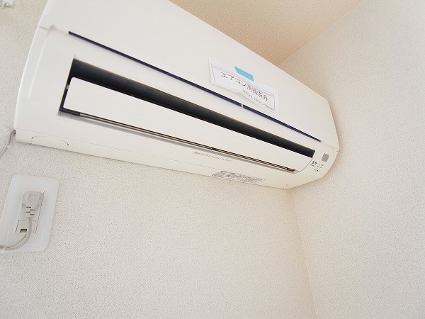 ベルウィルB その他5