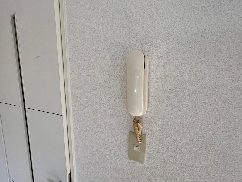 Ｌａ　Ｖｉｅ　ｅｎ　Ｒｏｓｅ その他2